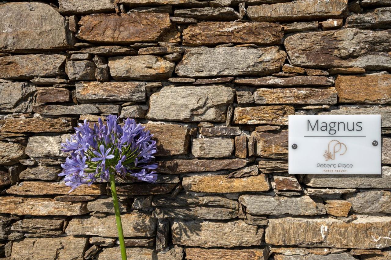 Peters Place - Paros Resort Parasporos Exteriér fotografie